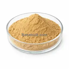 Green Tea Extract 10:1 main product image, RM0000101