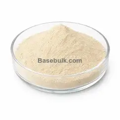 Lactobacillus lactis 100B CFU/g main product image