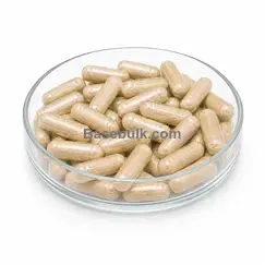 Prostate Formula food supplement 1000 capsules 750 g