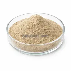 Hauptproduktbild von Grape Seed Extract 5:1