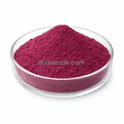 Aronia-Extrakt 10:1 purpurrotes Pulver RM0000482