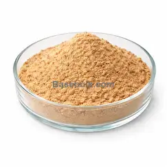 Apple powder (Apple Fiber) RM0000508 main product image
