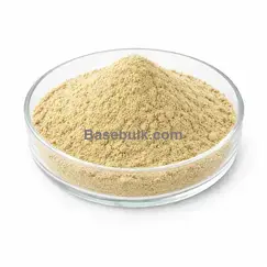 Ingwerwurzelextrakt (Zingiber officinale) 20:1, 5% Gingerole