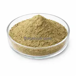 Hauptproduktbild von Kürbiskernprotein 60%