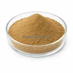 Neemblattextrakt (Azadirachta indica) 10:1