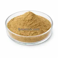 Hauptproduktbild des Verbena Officinalis Stem extract 10:1