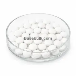 Complément alimentaire en comprimés de Cordyceps 1850 mg, 1000