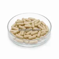 Artemisia absinthium extract capsules equivalent to 300mg, 1000