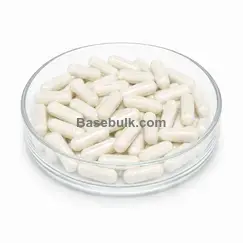 Chaga 1250mg + Zinc 25mg capsule food supplement