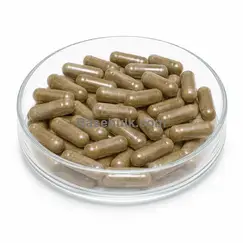Mugwort (Artemisia vulgaris) 1000mg capsule food supplement, 1000 capsules