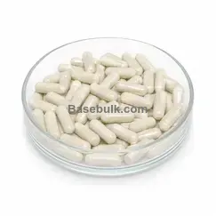 L-Theanine 100mg + Lemon balm extract 240mg, 1000 capsules