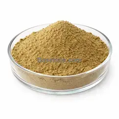 Echinacea Extract 10:1 brown yellow fine powder RM0000059