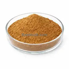 Fenugreek Extract 20:1 brown fine powder RM0000066 main product image