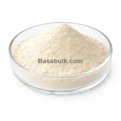 Bifidobacterium Bifidum 100B CFU/g probiotisches Pulver RM0000096