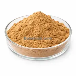 Ginger Root Extract 20:1 brown yellow fine powder RM0000103