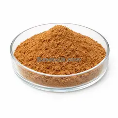 Guarana Extract 4:1 brown powder, RM0000128 main product image