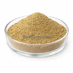 Cordyceps Extract (Cordyceps sinensis) 10:1 brown yellow fine powder