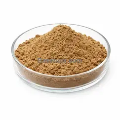 Polvo de Muira Puama polvo fino amarillo pálido RM0000141