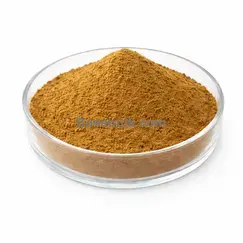Extracto de semilla de hinojo 6:1 polvo fino marrón amarillo RM0000166