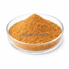 Aniseed Extract 10:1 brown yellow fine powder RM0000168