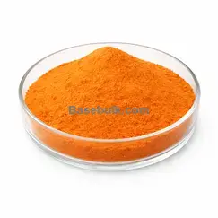 Sea Buckthorn Extract 10:1 orange fine powder RM0000169