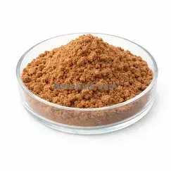Extracto de ñame silvestre 10:1 polvo blanco de grado alimentario