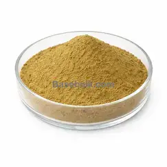 Broccoli Extract 10:1 brown yellow fine powder RM0000213