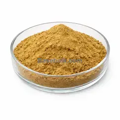 Extracto de hoja de senna 10:1 polvo marrón amarillento RM0000230