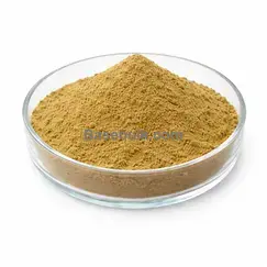 Alant Extract 10:1 brown yellow fine powder RM0000231