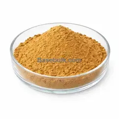 Artichoke extract 10:1 powder with 2.5% cynarin RM0000278