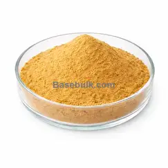 Lion's Mane Extract 10:1 brown yellow fine powder RM0000286