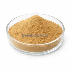 Bamboo shoot extract 10:1 brown yellow fine powder RM0000297