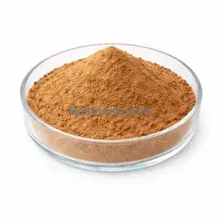 Extrait de racine de Rhodiola 3% Rosavins 1% Salidrosides poudre fine brunâtre RM0000305