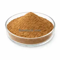 Rosehips extract 4:1 brown yellow fine powder RM0000306