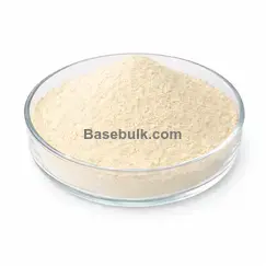 Bifidobacterium lactis 100B CFU/g powder RM0000339