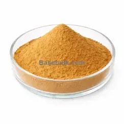 Maritime pine extract 10:1 brown yellow fine powder RM0000362
