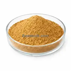 Lemon Balm extract 10:1 brown yellow fine powder RM0000384