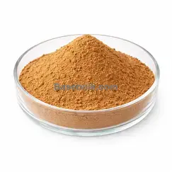 Elderberry fruit extract 10:1 brown yellow fine powder RM0000391