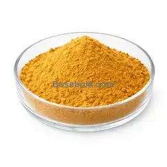Grapefruit seed extract 10:1 brown yellow fine powder RM0000394
