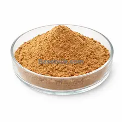 Chaga extract 10:1 brown yellow fine powder RM0000406