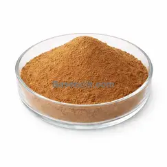 Chaste tree berry extract 10:1 brown yellow fine powder RM0000412