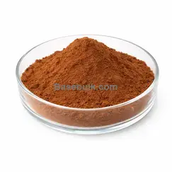 Shiitake extract 10:1 brown fine powder, Lentinula edodes, RM0000417