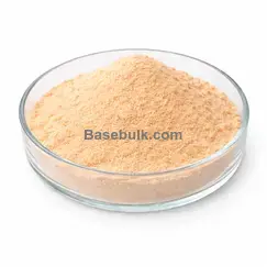 Carica Papaya Extract papain 100000 IU/g white powder RM0000420