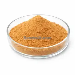 Green Coffee Extract 10:1 brown yellow fine powder RM0000437