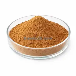 Birch leaves extract 10:1 fine powder Betula pendula RM0000445