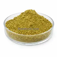 Gymnema Extract 10:1 brown yellow fine powder RM0000449