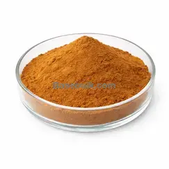 Orthosiphon Extract 10:1 brown yellow fine powder RM0000454