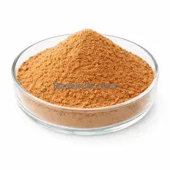 Bearberry extract 10:1 powder (Arctostaphylos uva-ursi) RM0000455
