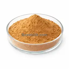 Extrait de Shilajit (Mumio) 10:1 poudre fine brune RM0000462