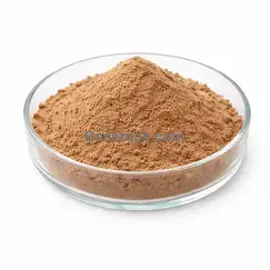 Spinach extract 4:1 brown yellow fine powder RM0000470